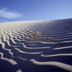 Desert Silence